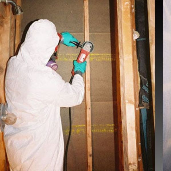 Mold Removal & Remediation